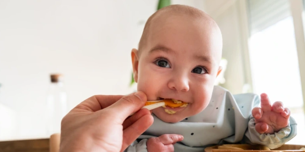 بررسی و نکات شروع غذای کمکی به نوزاد