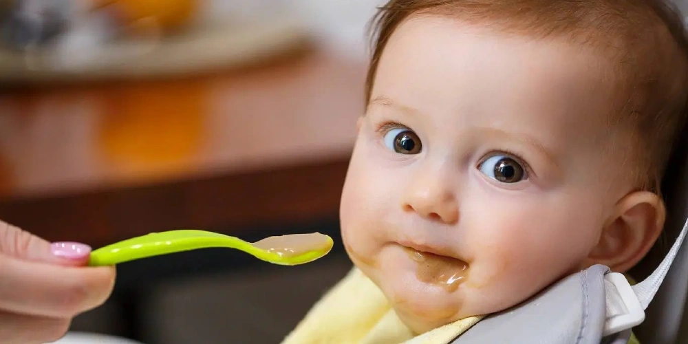 غذاهای کمکی آماده برای نوزادان